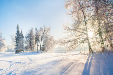 四季を通して全ての部屋で快適に暮らす条件