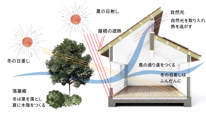 自然の恵みを取り入れる快適